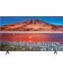 قیمت تلویزیون سامسونگ TU7000 سایز 55 اینچ محصول 2020